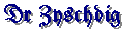 99zysch.gif (1381 bytes)