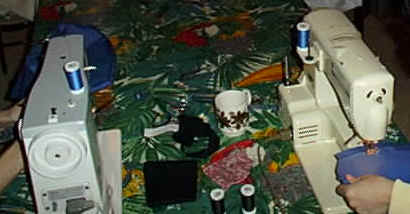 wpe1.jpg (13124 Byte)